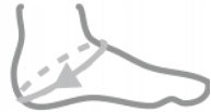 Orteza stawu skokowego stabilizator holenderska Rodzaj orteza stawu skokowego i stopy